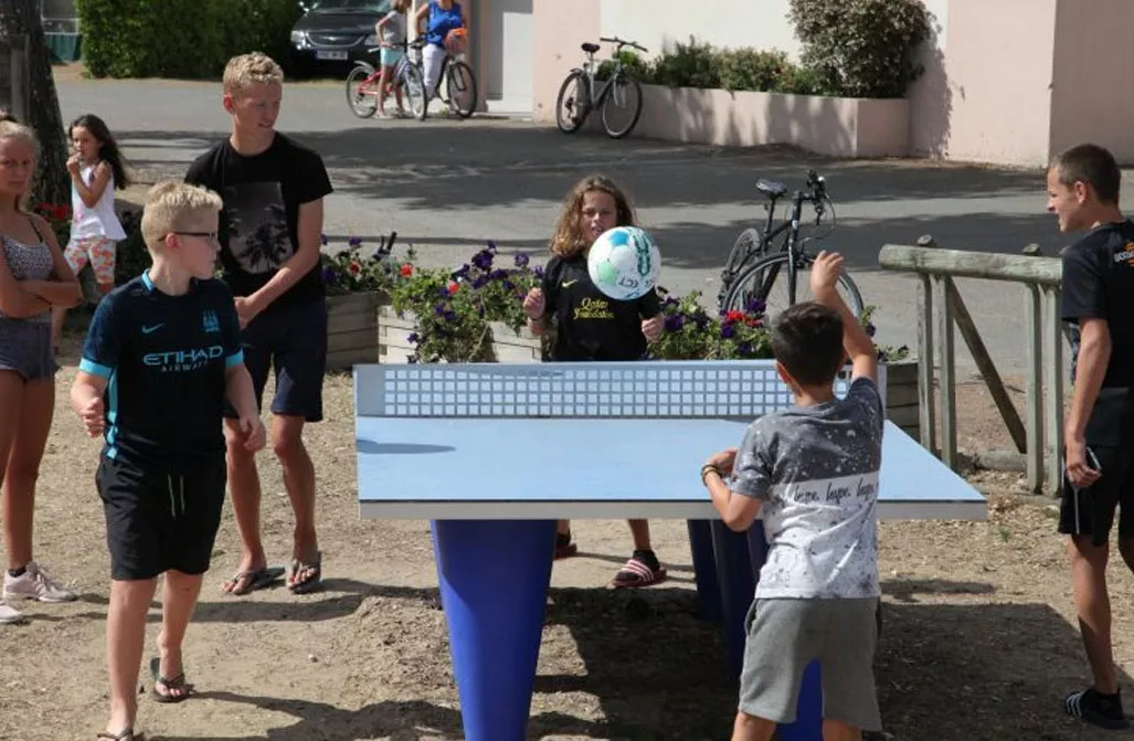 ping-pong table ping pong