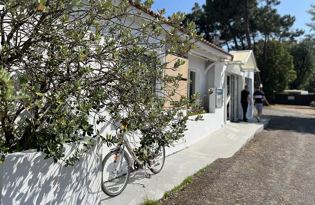 reception réception du camping